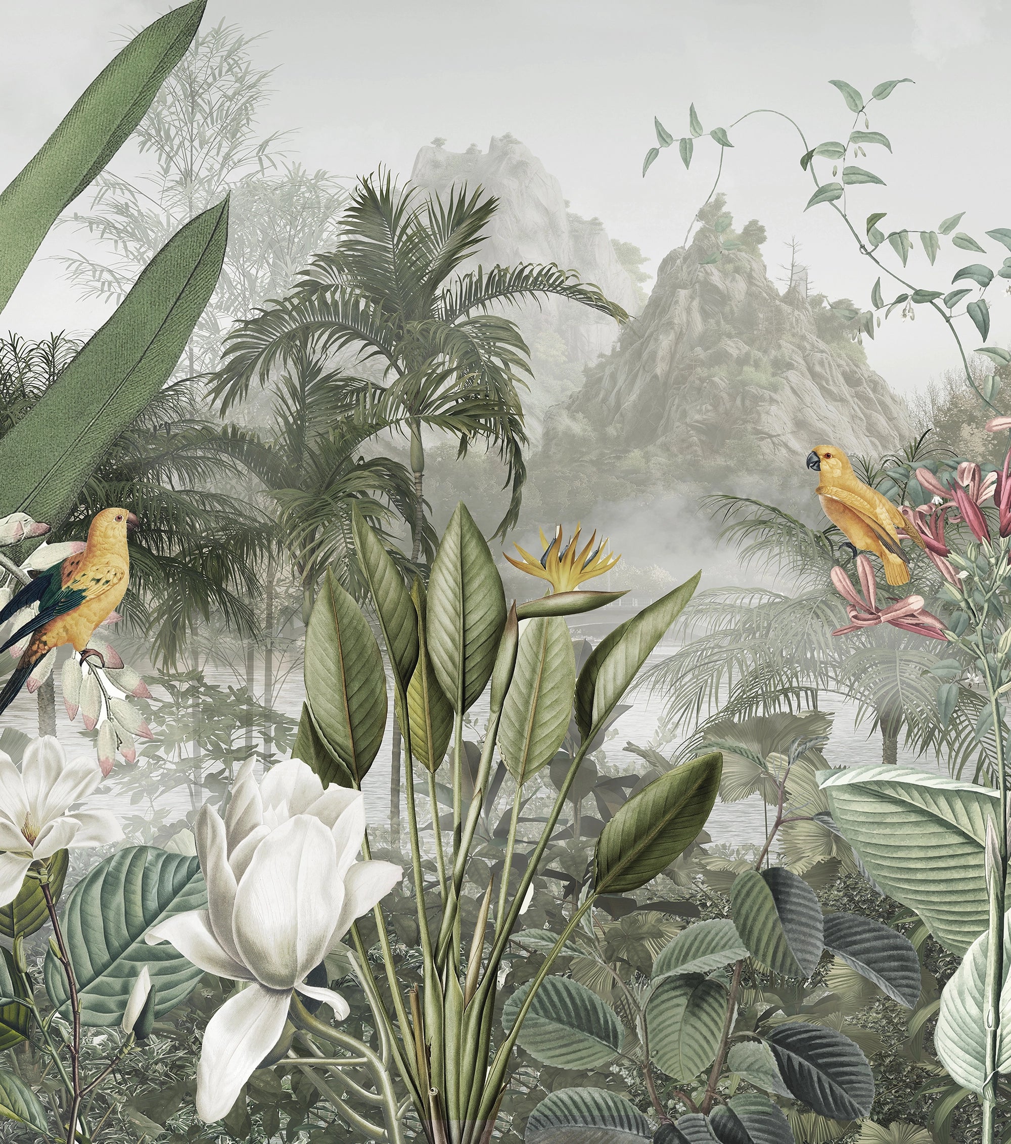 Panoramic wallpaper exotic plant