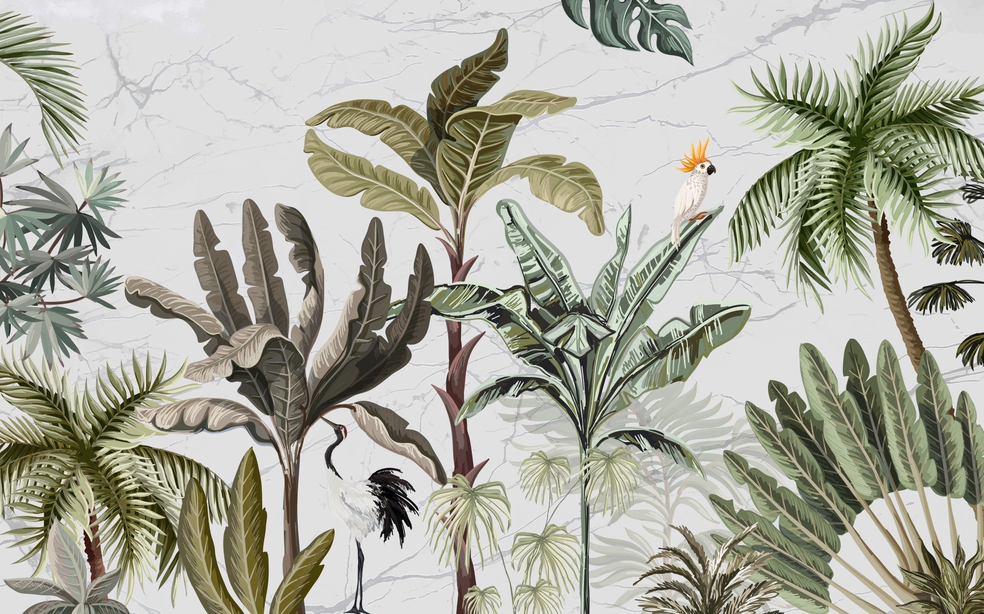 Papier peint panoramique plantes tropicales