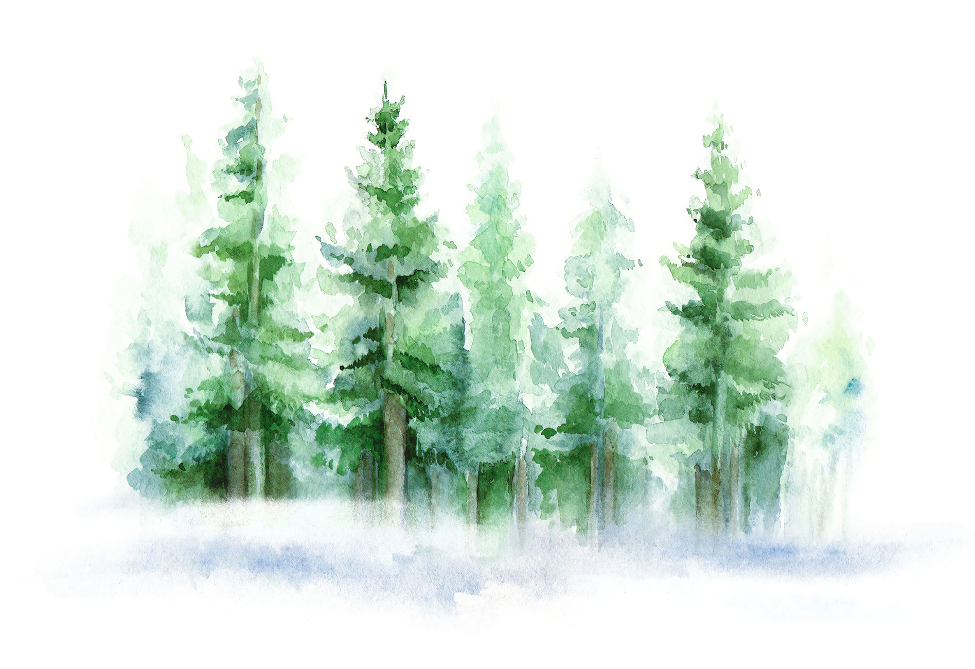 Papier peint panoramique sur mesure forêt de sapin