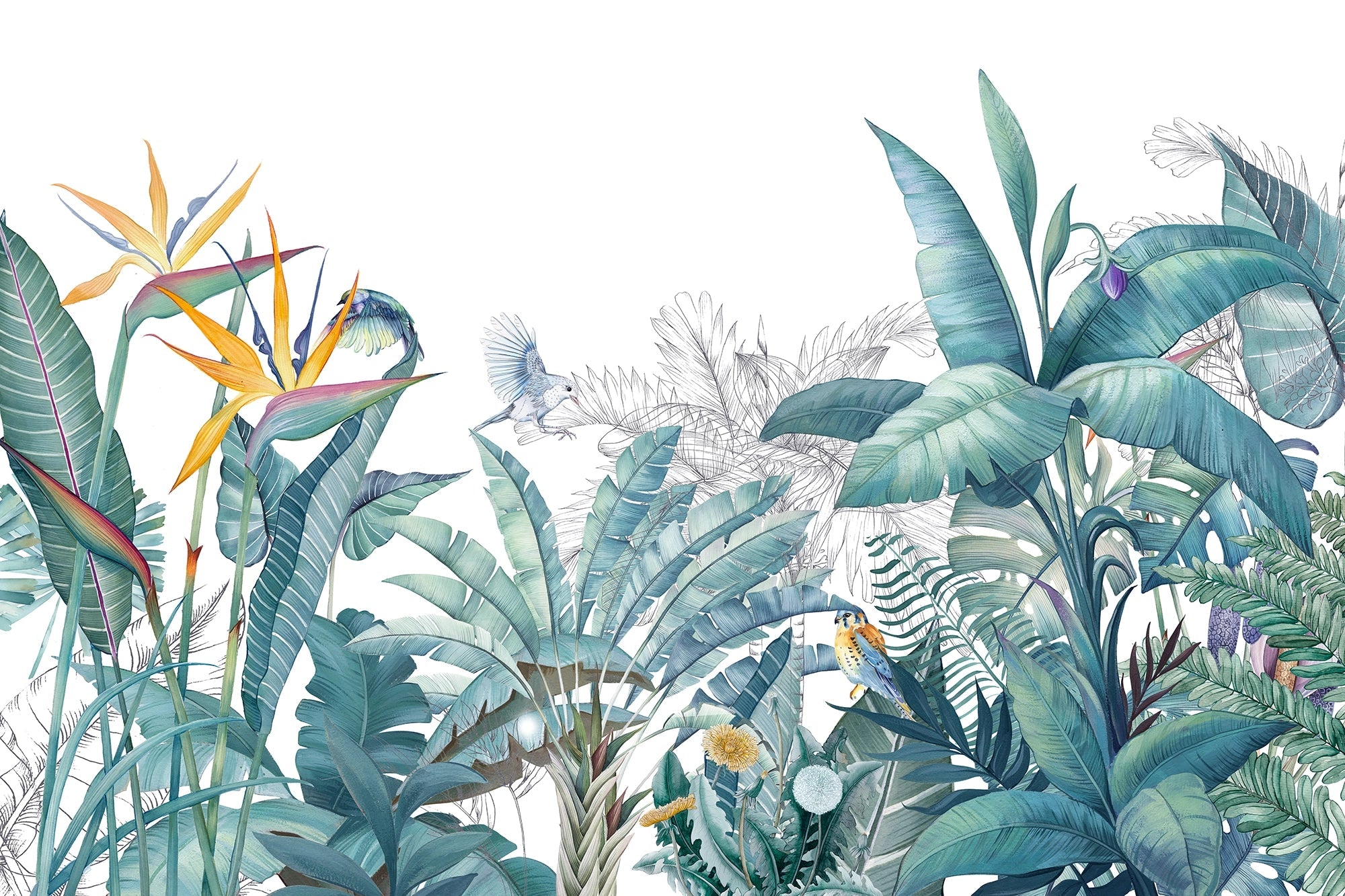 Papier peint panoramique tropical oiseaux de paradis