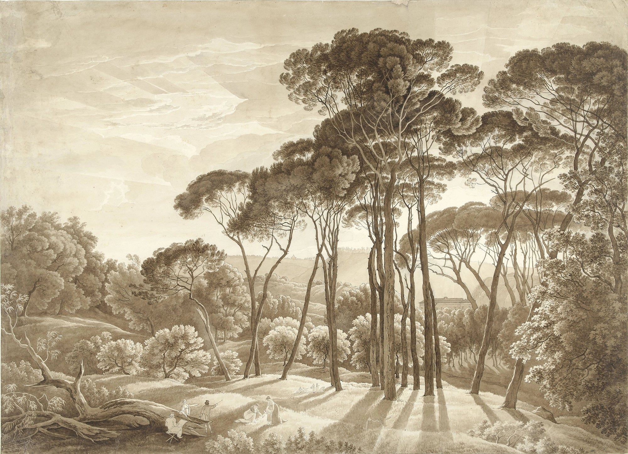 Sepia pine landscape wallpaper