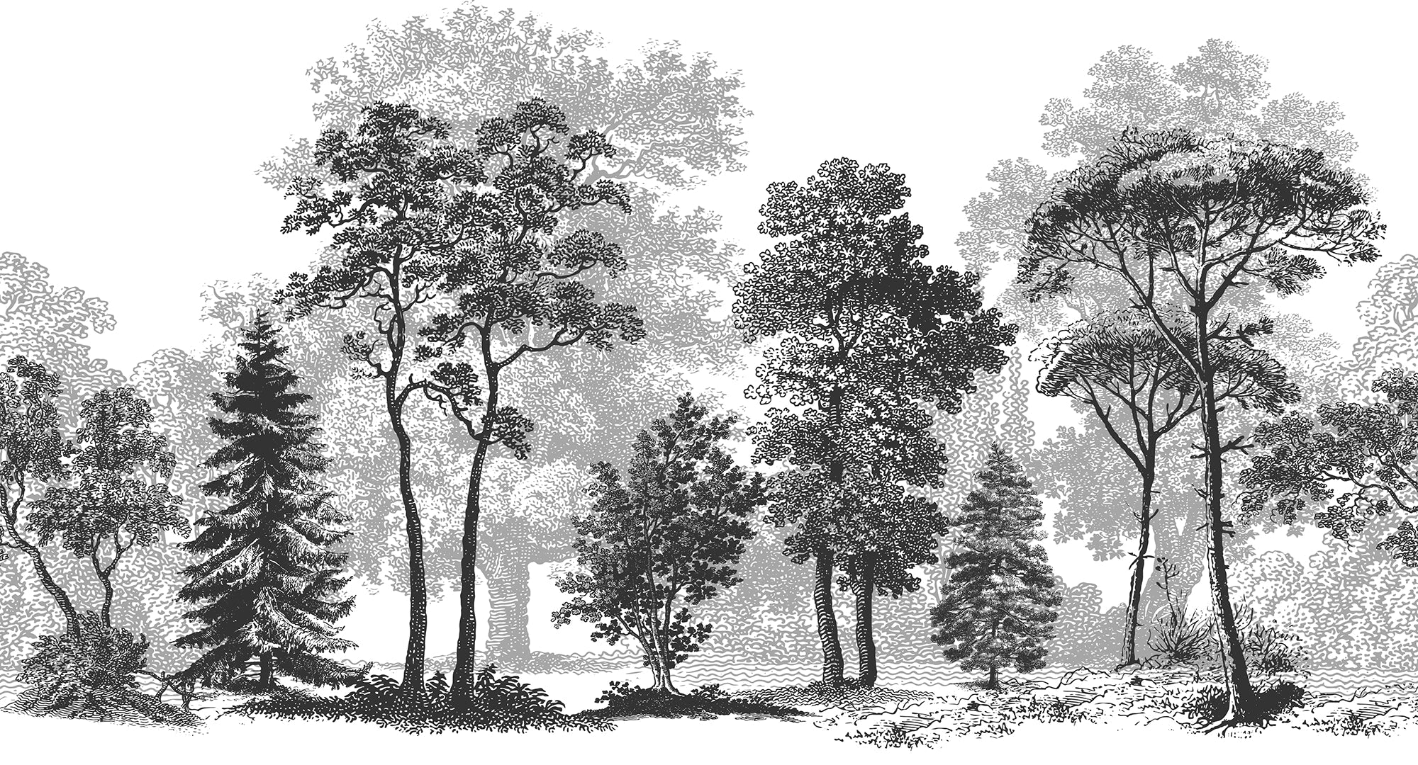 Papier peint paysage forêt noir et blanc - Kam et Léon