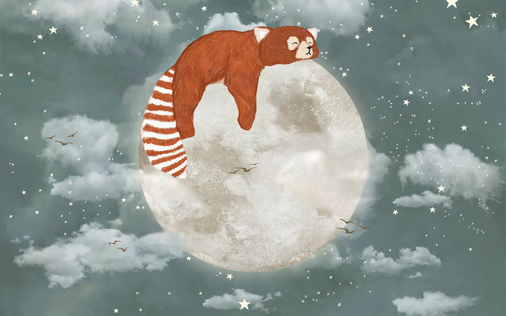 Papier peint petit panda roux sur la lune