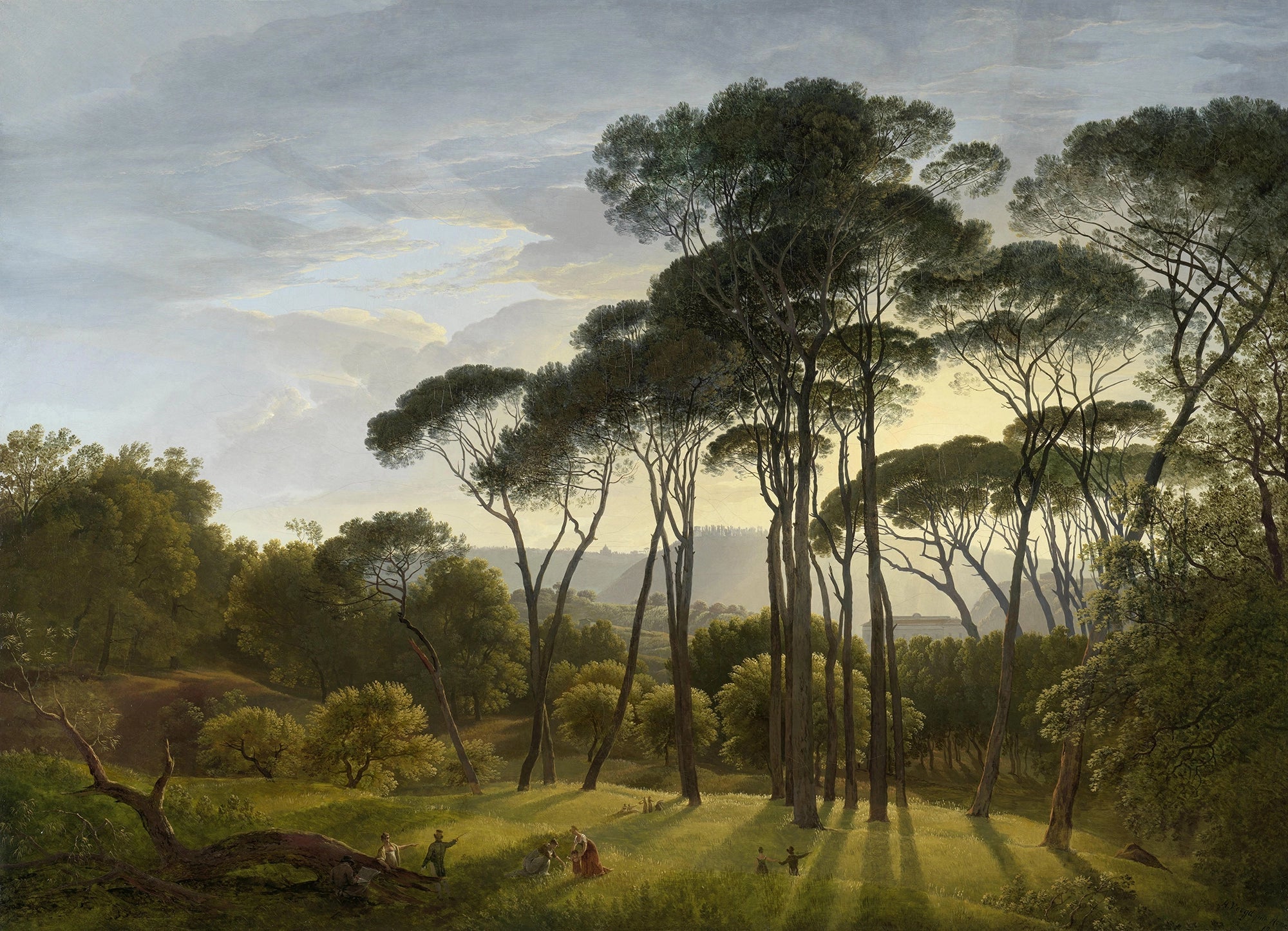 Parasol Pine Tapete