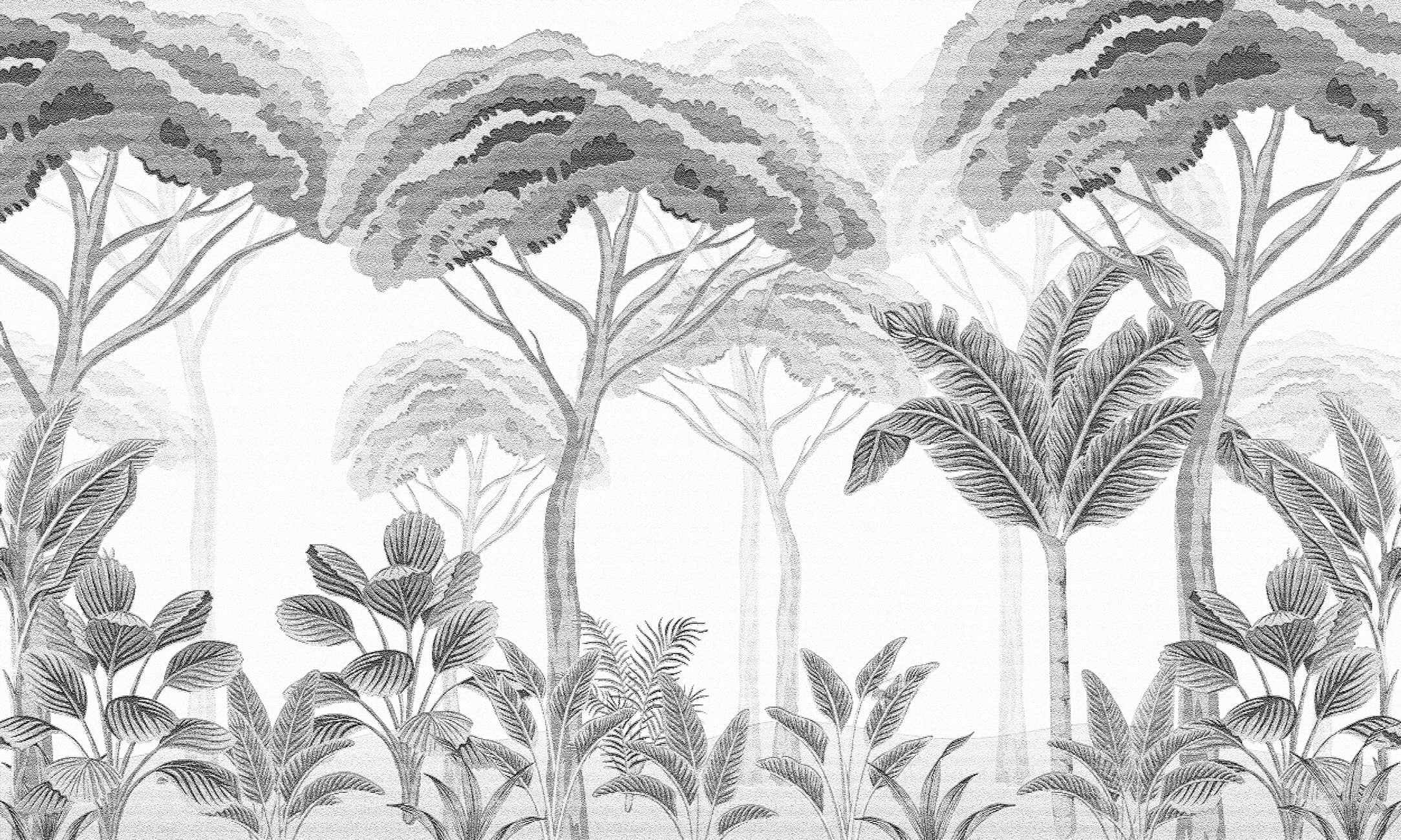 Black and white pine forest wallpaper