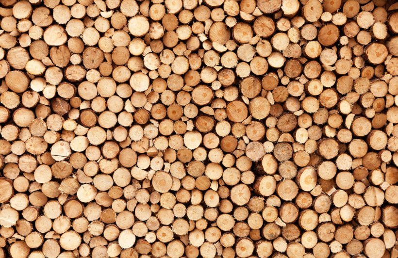 Papier peint rondin de bois
