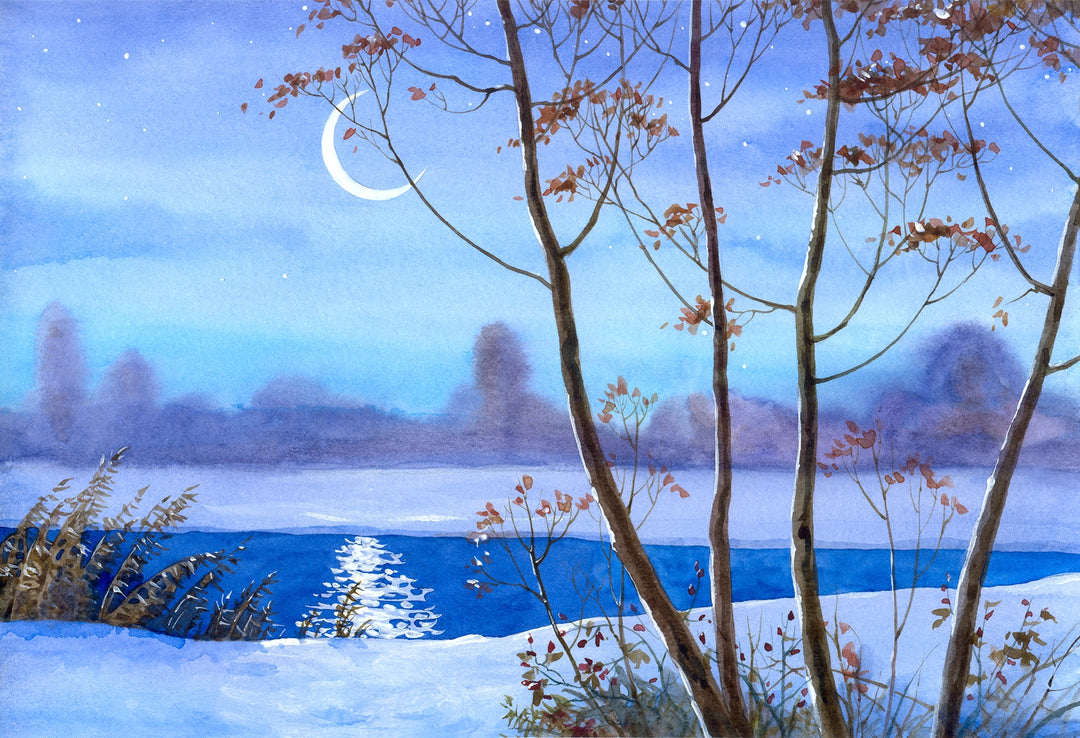 Moonlit Winter Landscape Wallpaper 