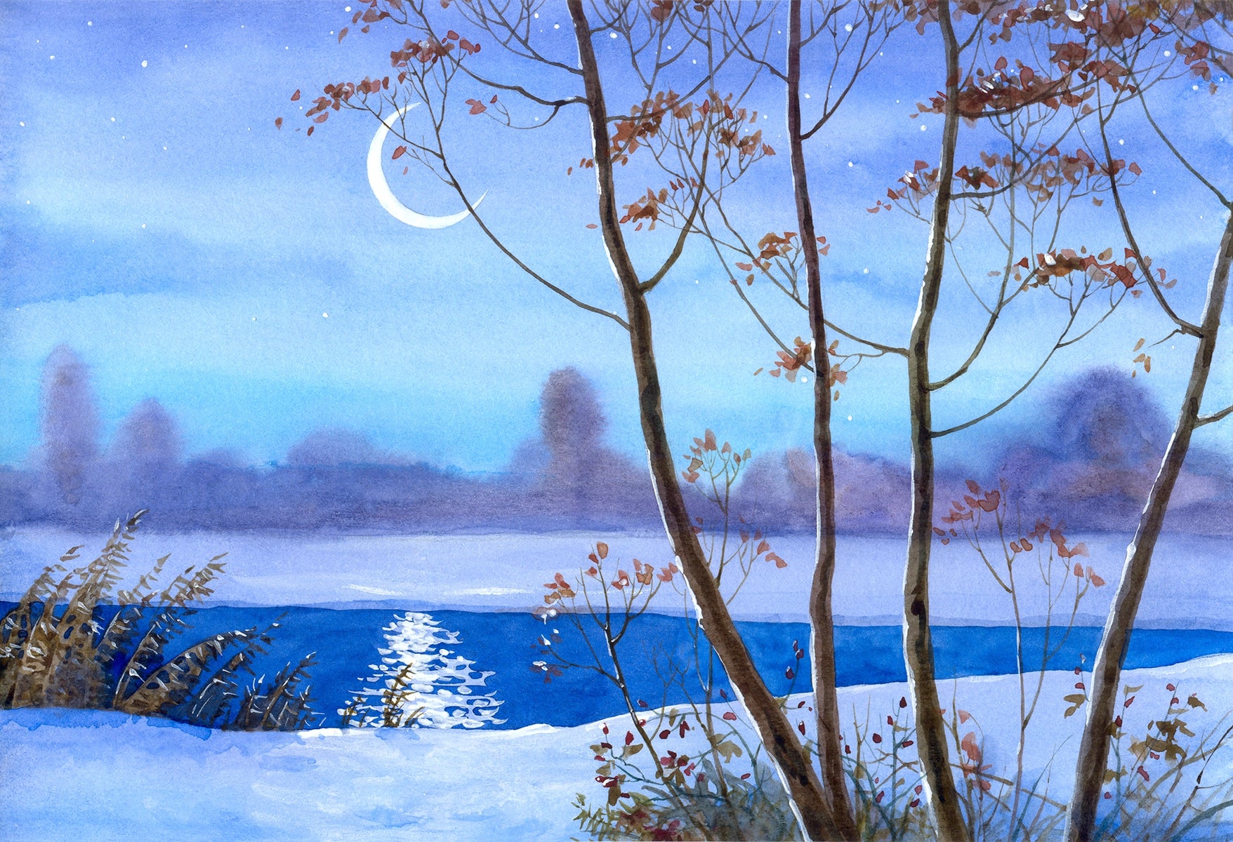 Moonlit Winter Landscape Wallpaper 