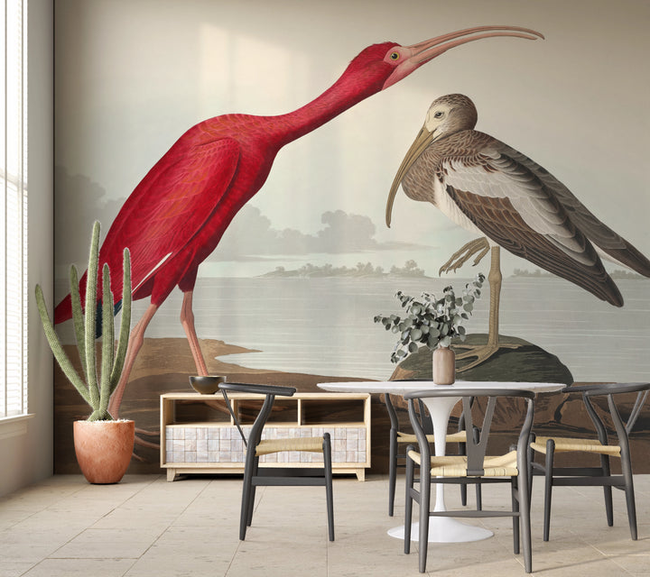 Scarlet Ibis Wallpaper 
