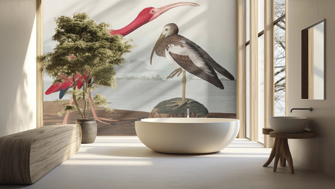 Scarlet Ibis Wallpaper 