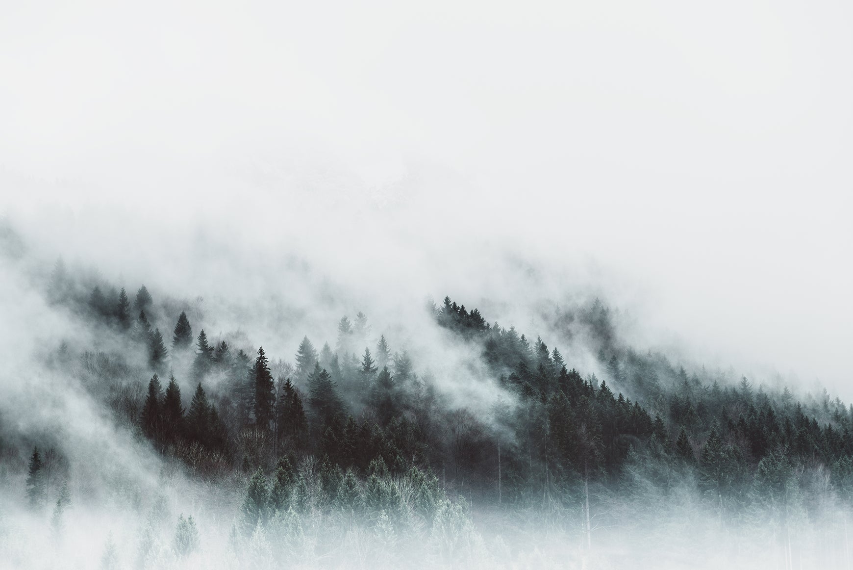 Papier peint sur mesure flanc de montagne sous la brume