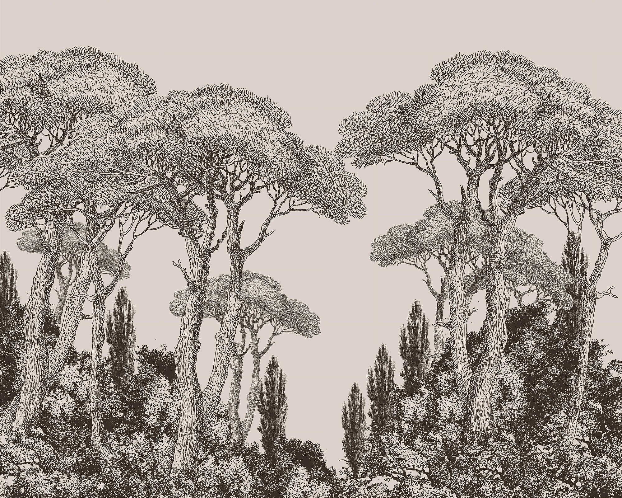 Grafikkiefern -Pine Trend Wallpaper