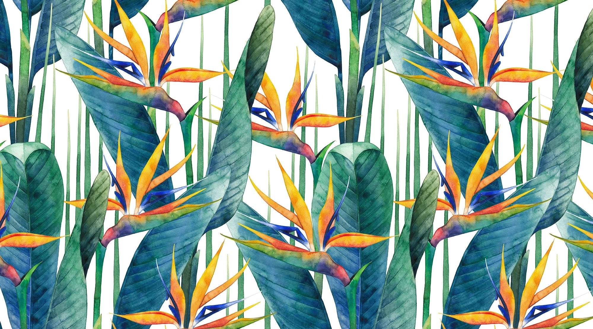 Papier peint Tendance strelitzia