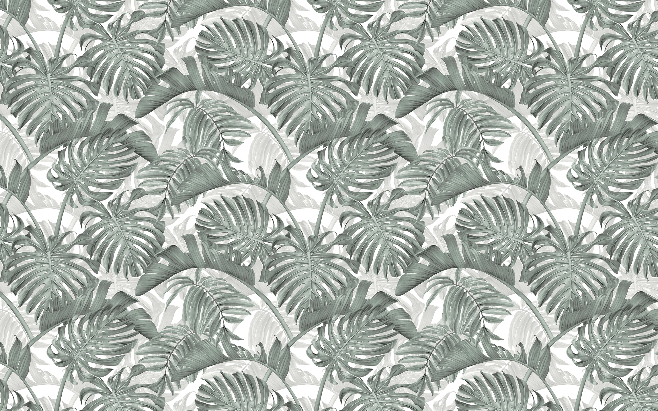Monstera Deliciosa Blatt tropische Tapete