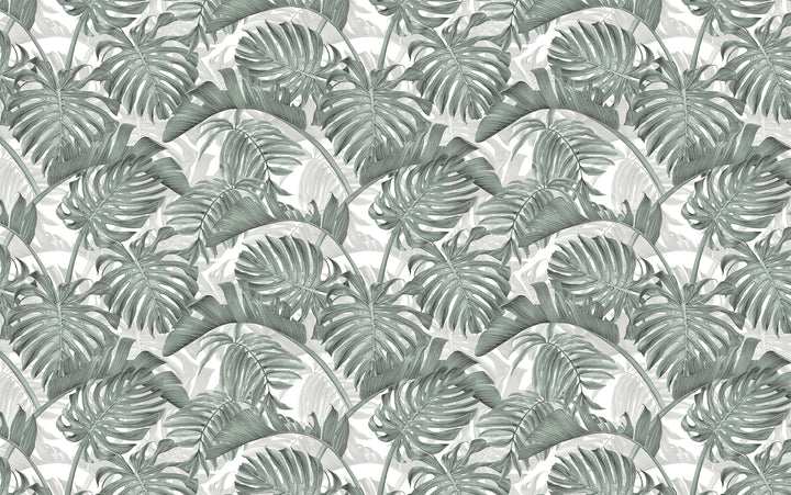 Monstera Deliciosa Blatt tropische Tapete