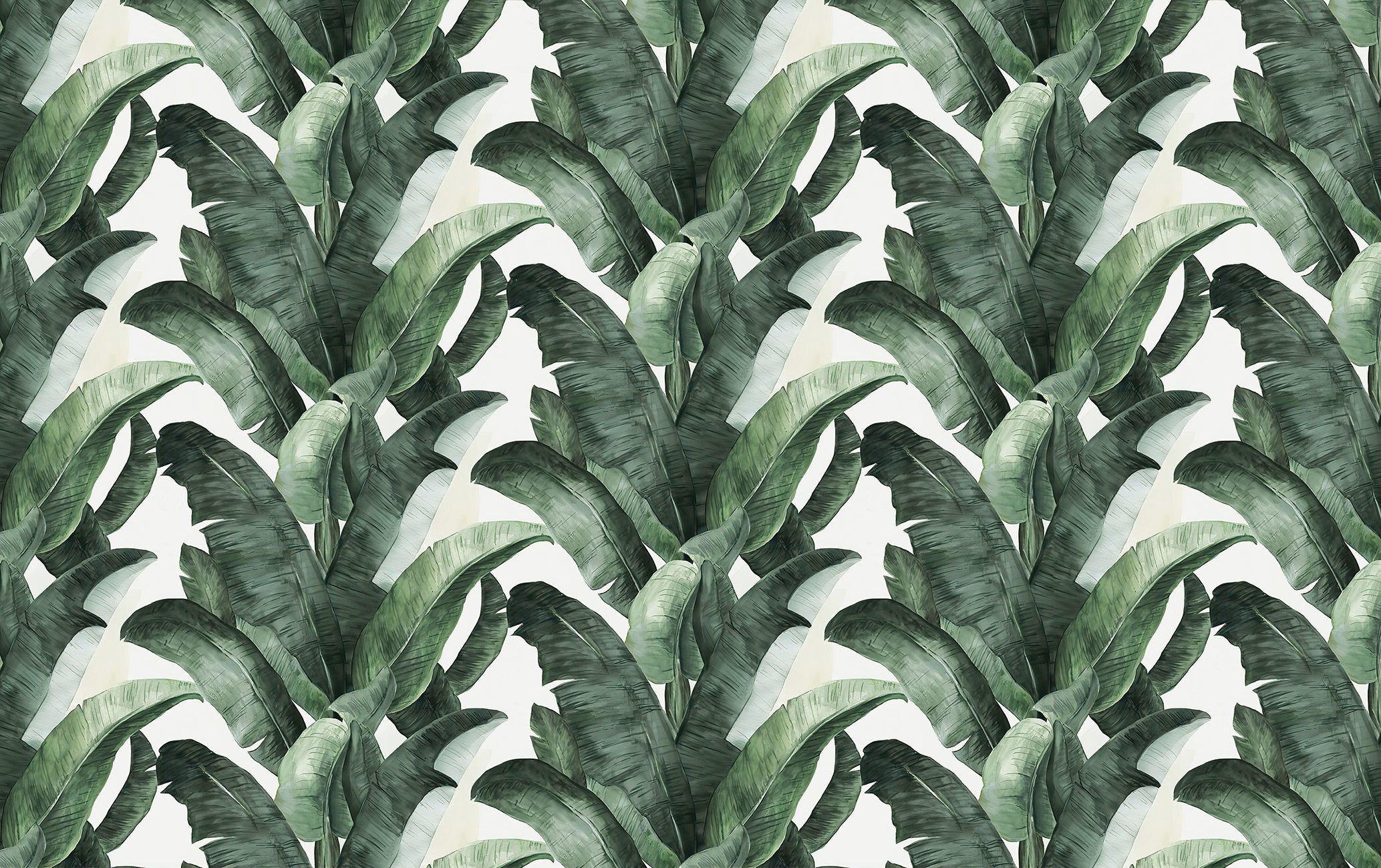 Tapisserie murale feuille de bananier