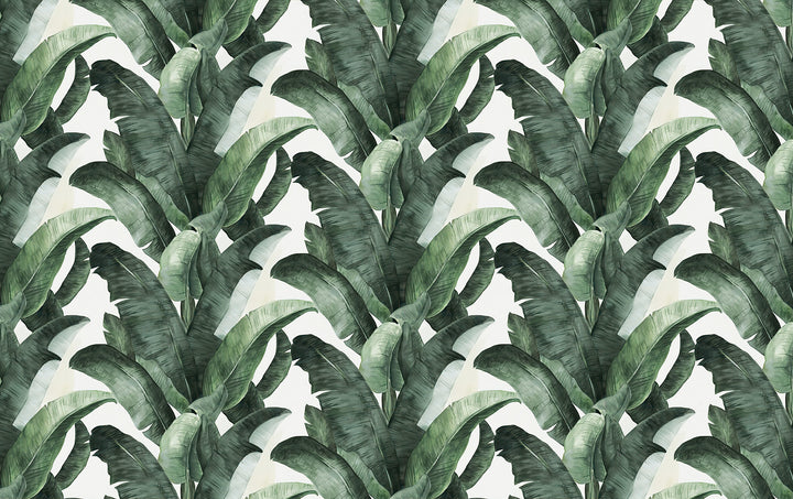 Tapisserie murale feuille de bananier