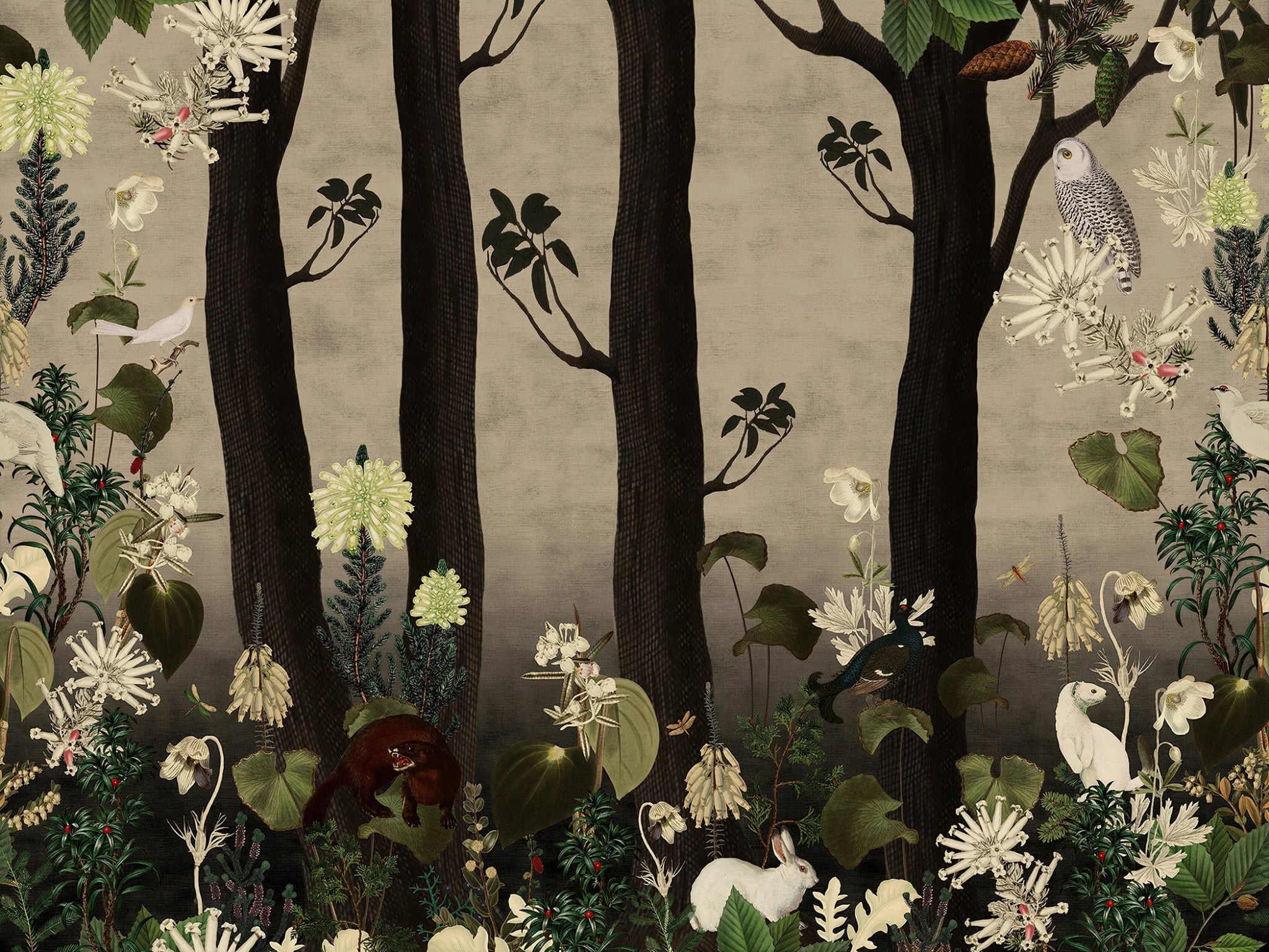 Papier peint Animaux dans la forêt sombre Kam & Leon