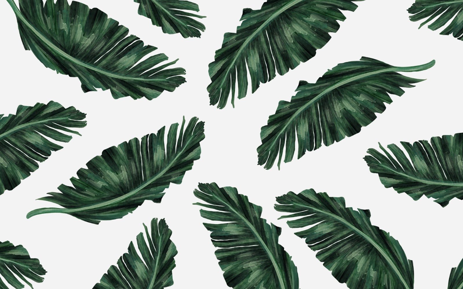 Papier peint grande feuille tropicale - Kam & Leon