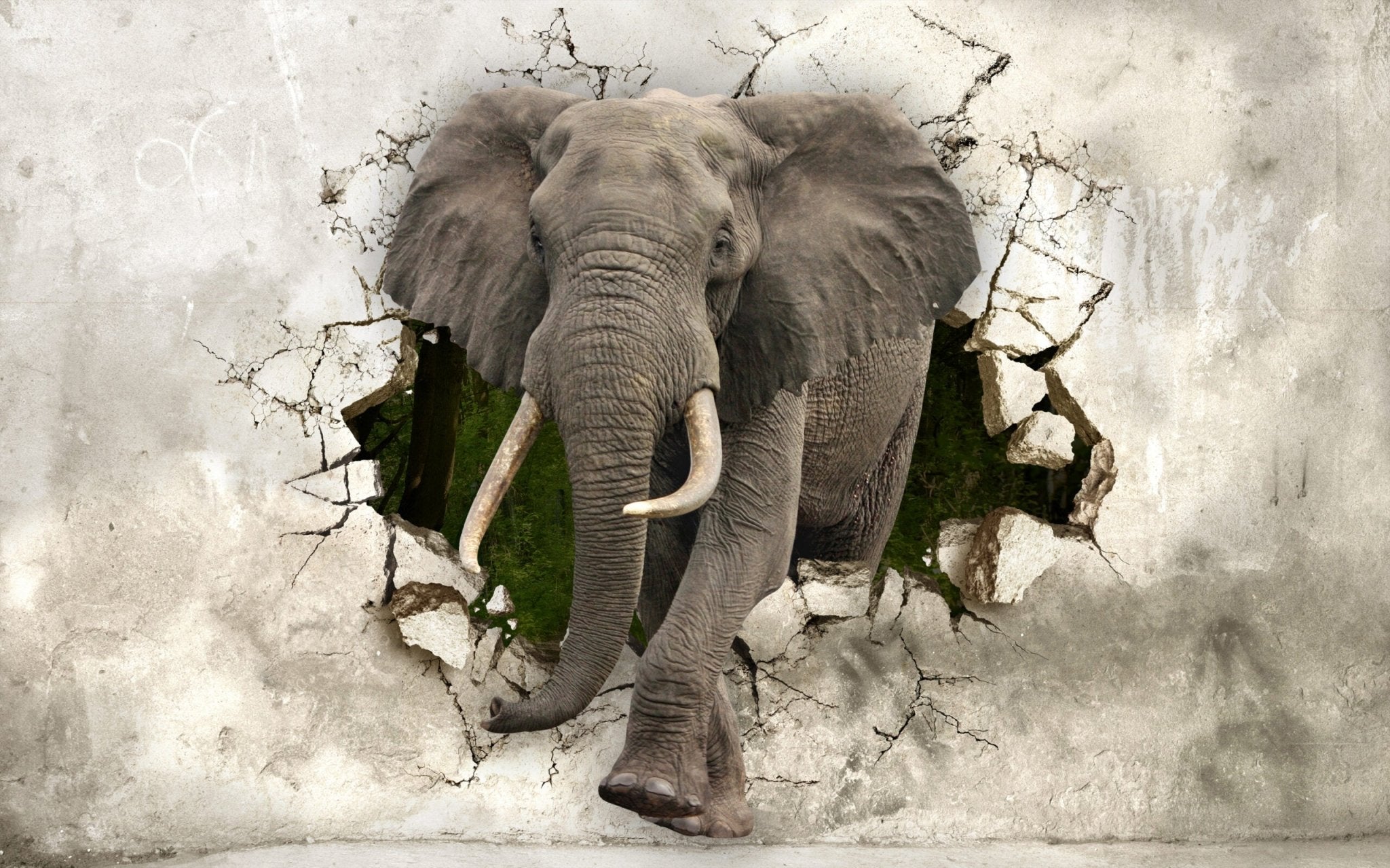 Papier peint panoramique éléphant 3D - Kam & Leon