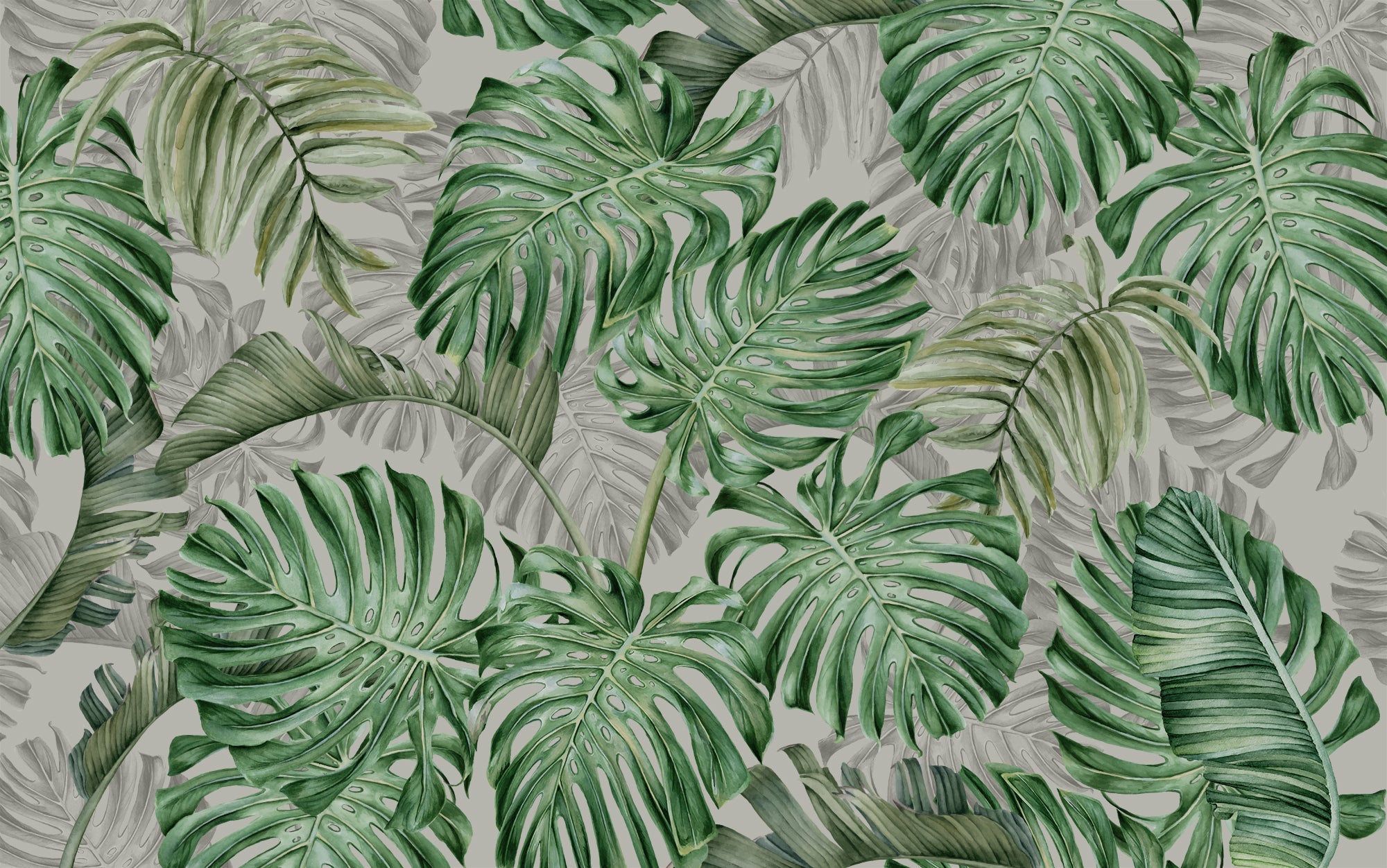 Papier peint panoramique feuilles monstera deliciosa - Kam & Leon