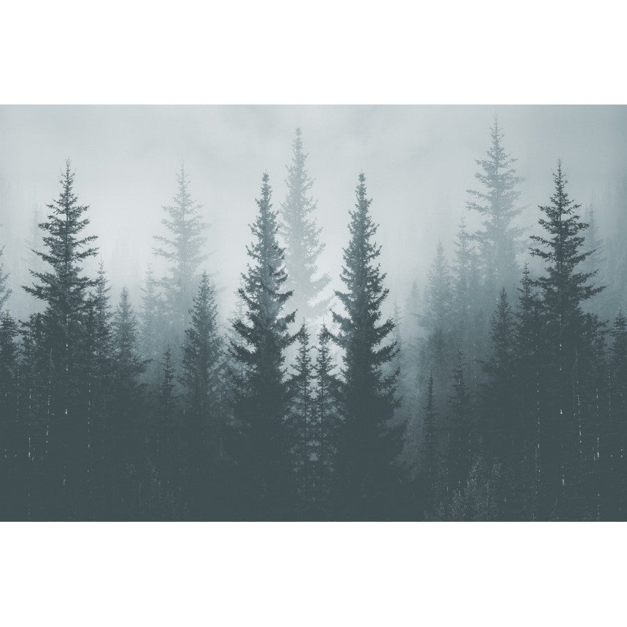 Papier peint panoramique forêt de résineux brumeuse - Kam & Leon