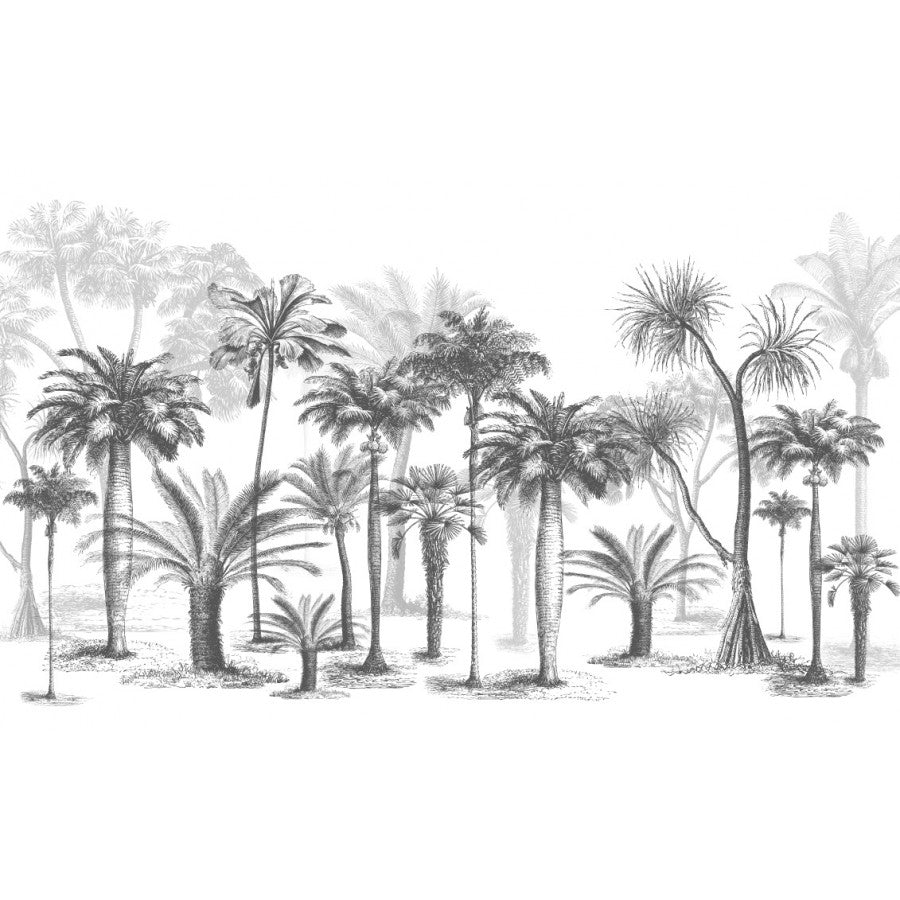 Papier peint panoramique palmier en noir & blanc - Kam & Leon