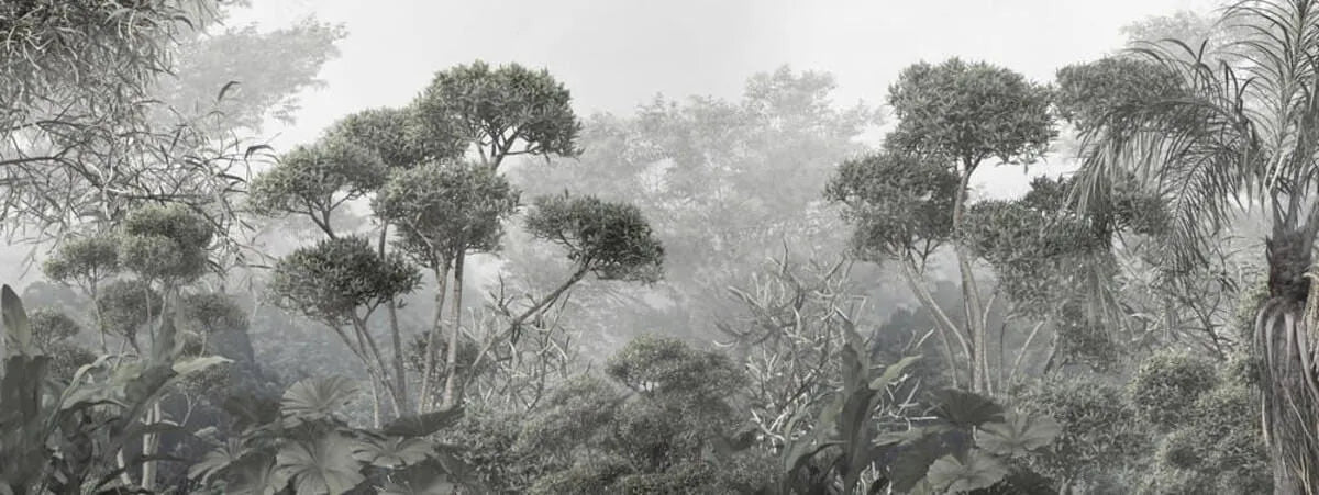 Papier peint panoramique sur mesure forêt dense - Kam & Leon