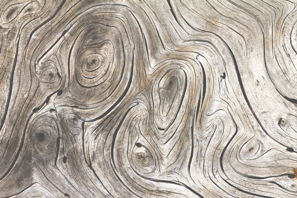 Papier peint panoramique trompe l'œil bois sec - Kam & Leon
